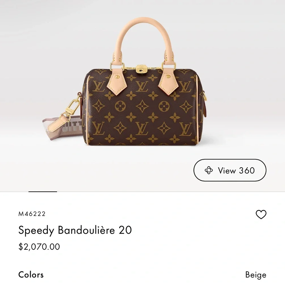 Louis Vuitton Bag - Picture 11 of 12